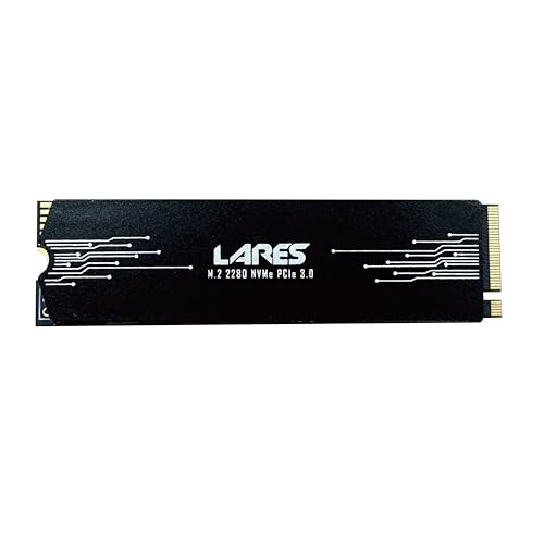 LEVEN JPS600 4TB PCIe Without Dram Read Speed Up to 3000 MBs NVMe Internal SSDSolid State Drive-Gen3x4 M.2 2280 QLC 3D NAND